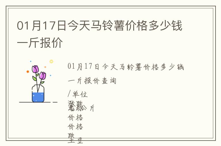 01月17日今天馬鈴薯價(jià)格多少錢(qián)一斤報(bào)價(jià)