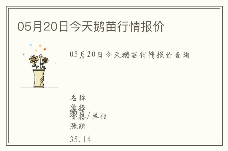 05月20日今天鵝苗行情報價