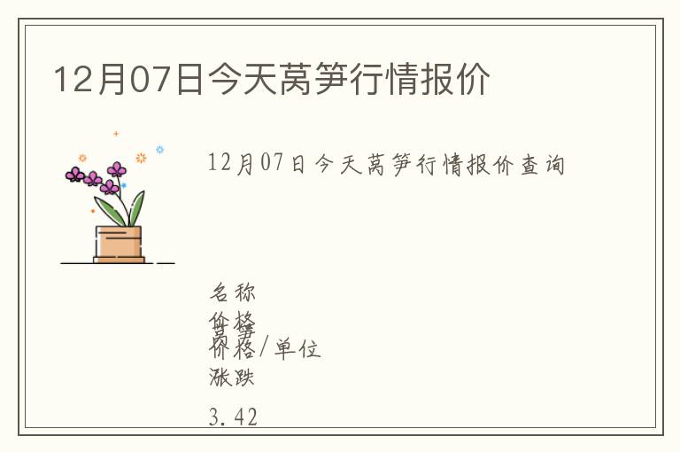 12月07日今天萵筍行情報價