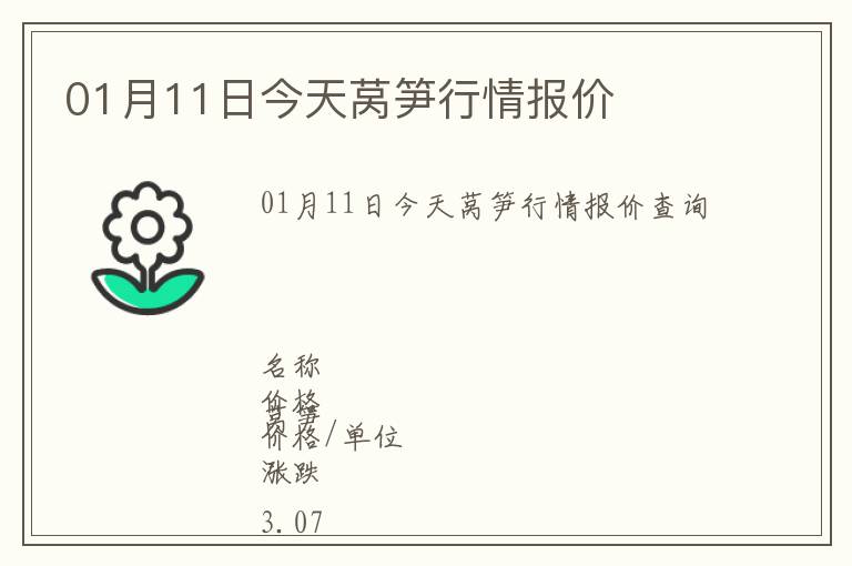 01月11日今天萵筍行情報價