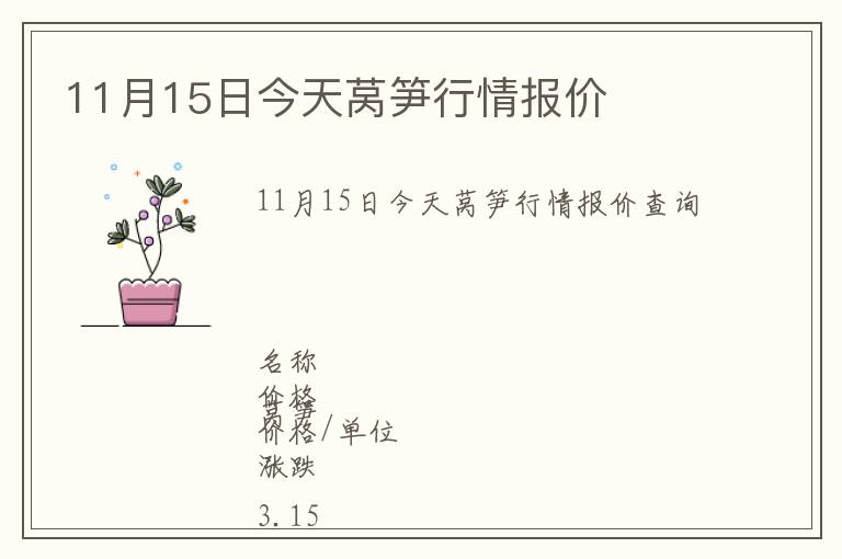 11月15日今天萵筍行情報價