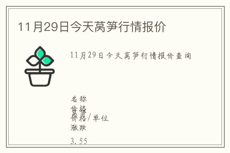 11月29日今天萵筍行情報價