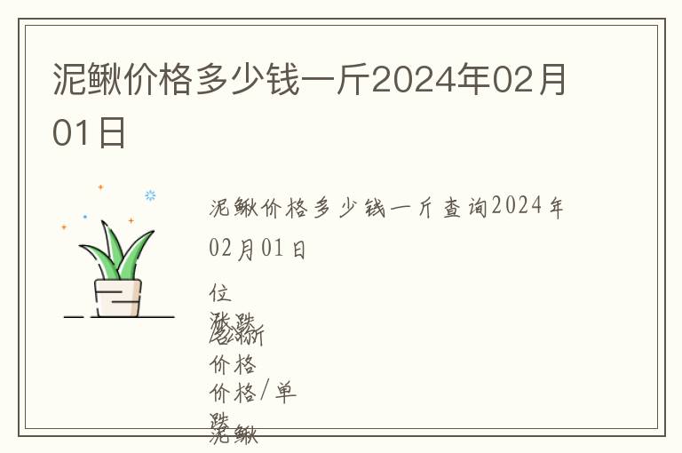 泥鰍價格多少錢一斤2024年02月01日