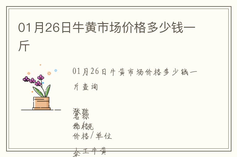 01月26日牛黃市場(chǎng)價(jià)格多少錢一斤