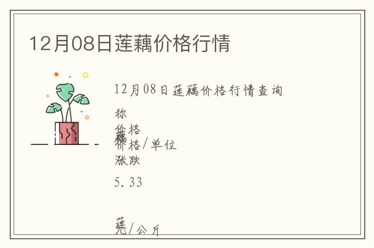 12月08日蓮藕價格行情