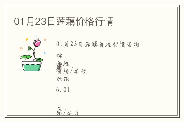 01月23日蓮藕價格行情