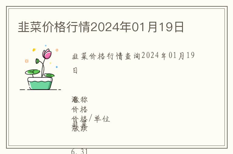 韭菜價格行情2024年01月19日