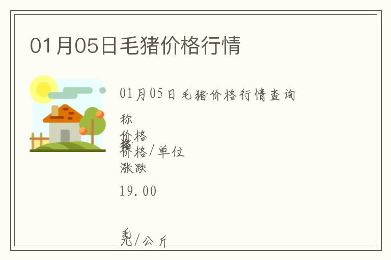 01月05日毛豬價(jià)格行情