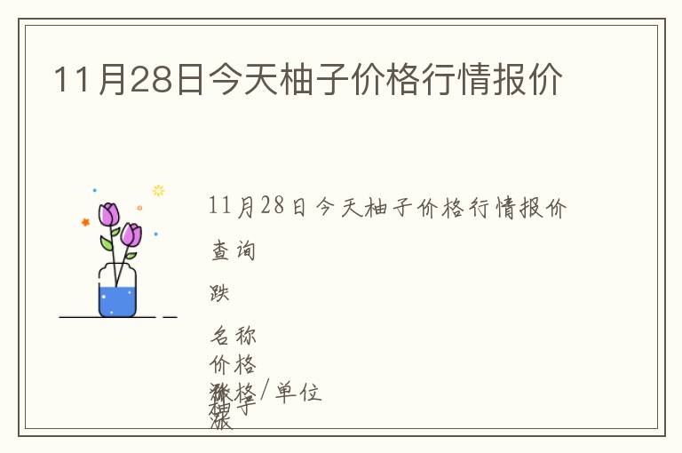 11月28日今天柚子價(jià)格行情報(bào)價(jià)