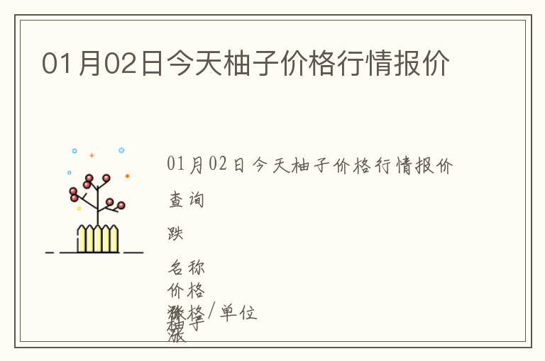 01月02日今天柚子價格行情報價
