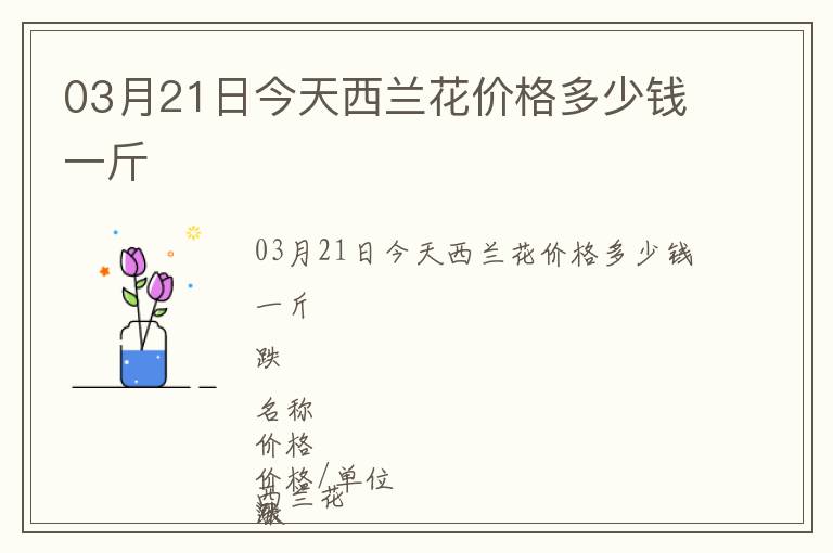 03月21日今天西蘭花價格多少錢一斤