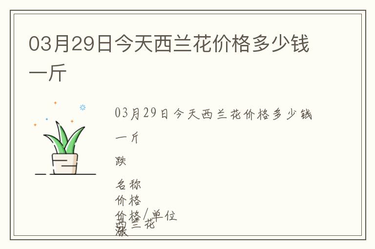 03月29日今天西蘭花價格多少錢一斤
