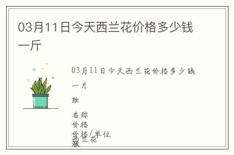 03月11日今天西蘭花價格多少錢一斤