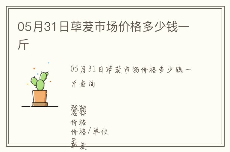 05月31日蓽茇市場價格多少錢一斤