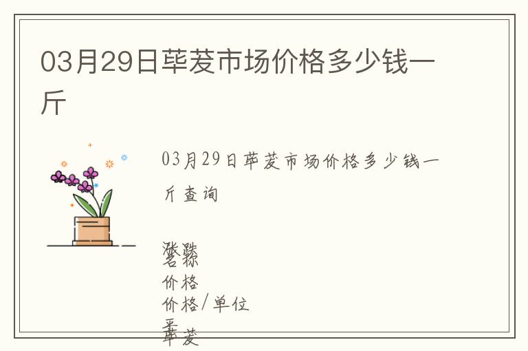 03月29日蓽茇市場價格多少錢一斤