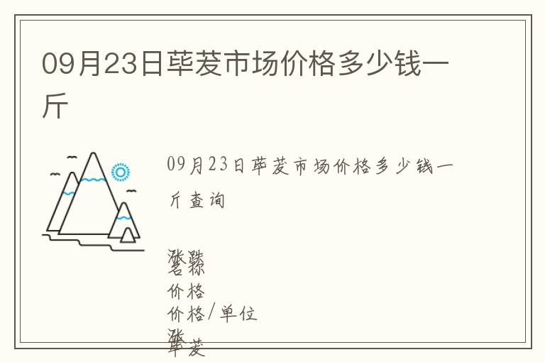 09月23日蓽茇市場價格多少錢一斤