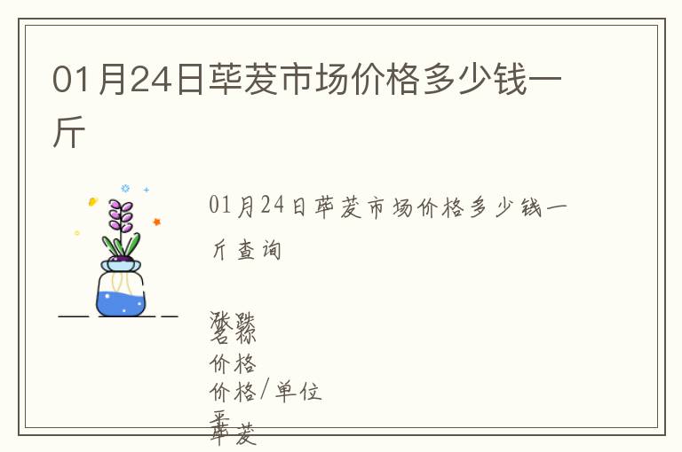 01月24日蓽茇市場價格多少錢一斤