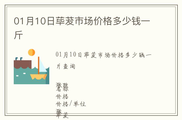 01月10日蓽茇市場價格多少錢一斤