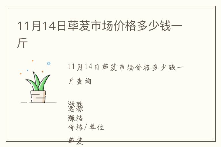 11月14日蓽茇市場(chǎng)價(jià)格多少錢(qián)一斤