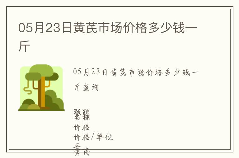 05月23日黃芪市場價格多少錢一斤