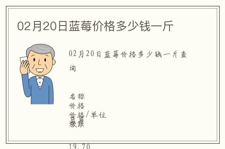 02月20日藍莓價格多少錢一斤