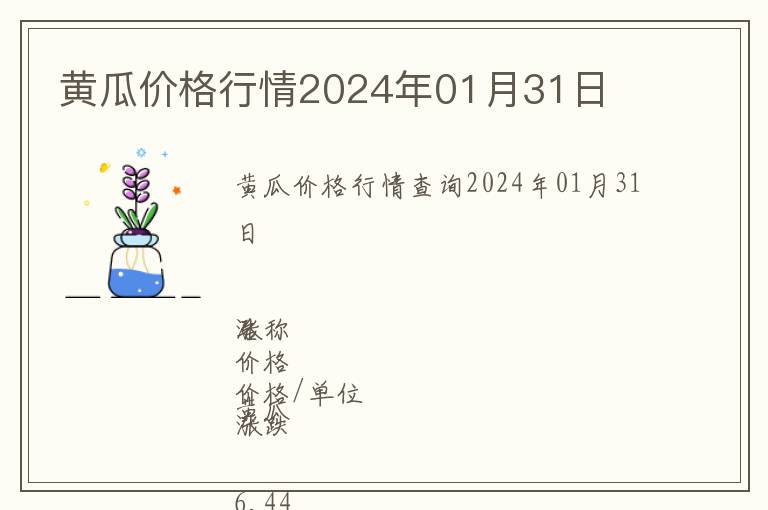 黃瓜價格行情2024年01月31日