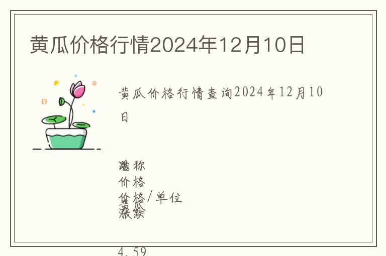 黃瓜價格行情2024年12月10日