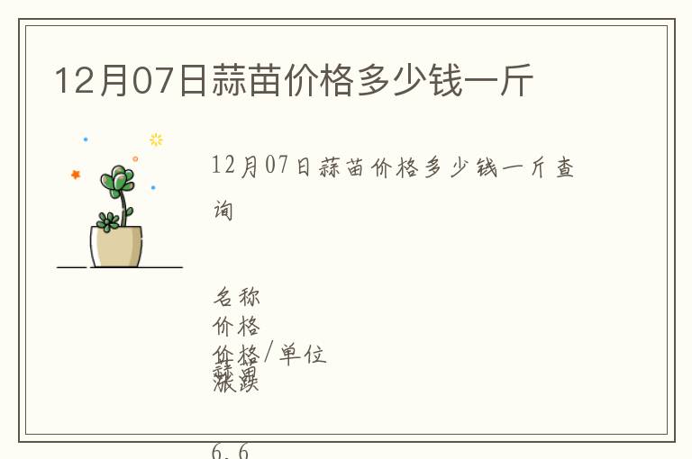 12月07日蒜苗價格多少錢一斤