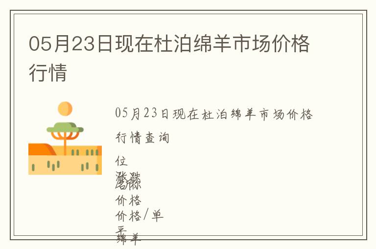 05月23日現在杜泊綿羊市場價格行情