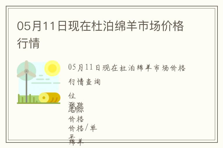 05月11日現(xiàn)在杜泊綿羊市場價格行情