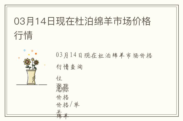 03月14日現(xiàn)在杜泊綿羊市場價格行情