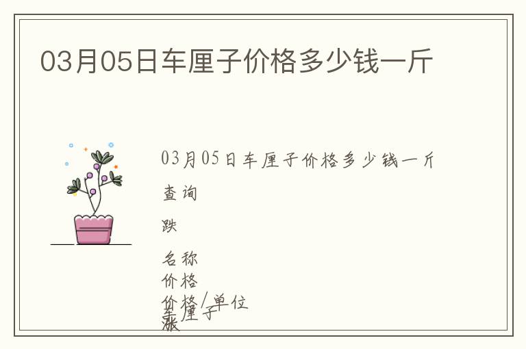 03月05日車厘子價格多少錢一斤
