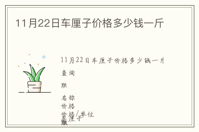 11月22日車厘子價格多少錢一斤
