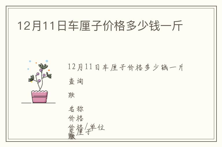12月11日車厘子價格多少錢一斤