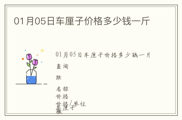 01月05日車厘子價格多少錢一斤