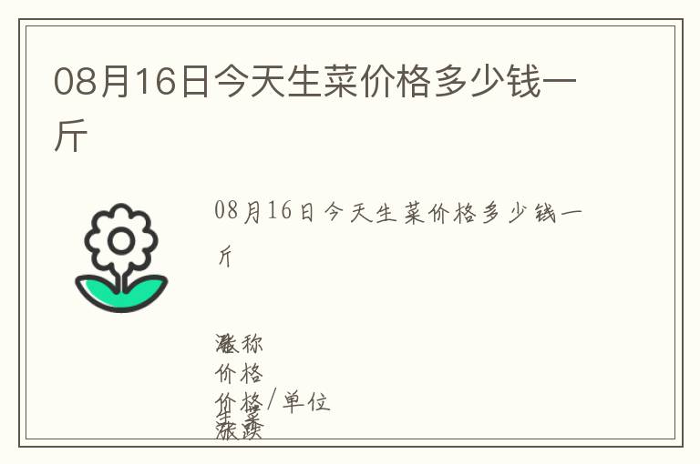 08月16日今天生菜價格多少錢一斤