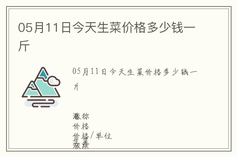 05月11日今天生菜價格多少錢一斤