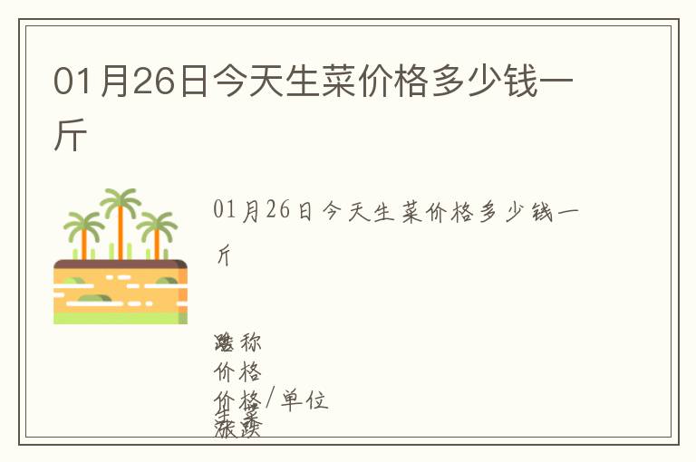 01月26日今天生菜價格多少錢一斤