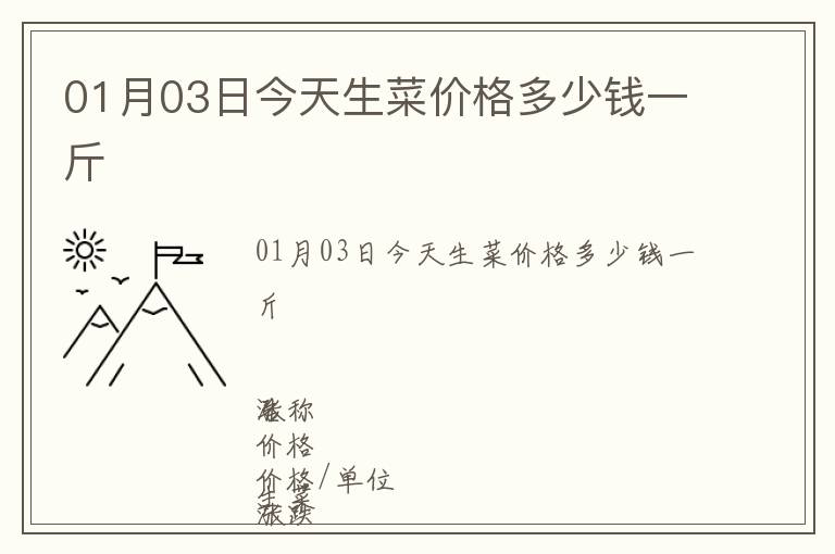 01月03日今天生菜價格多少錢一斤