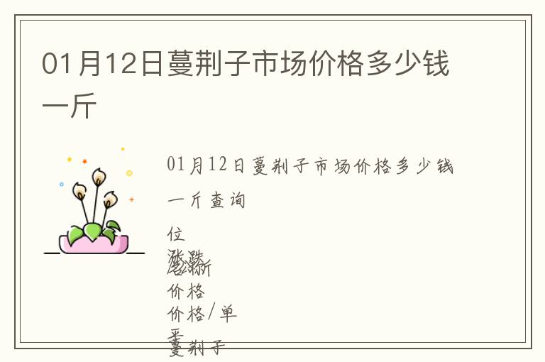 01月12日蔓荊子市場(chǎng)價(jià)格多少錢一斤