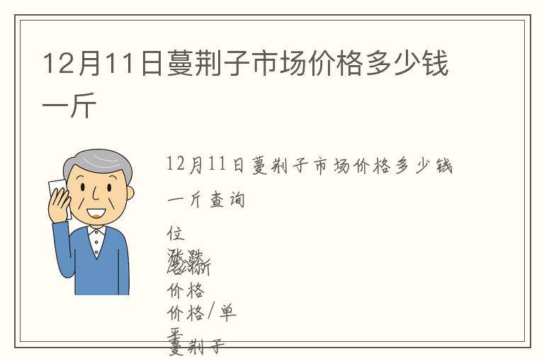 12月11日蔓荊子市場價(jià)格多少錢一斤