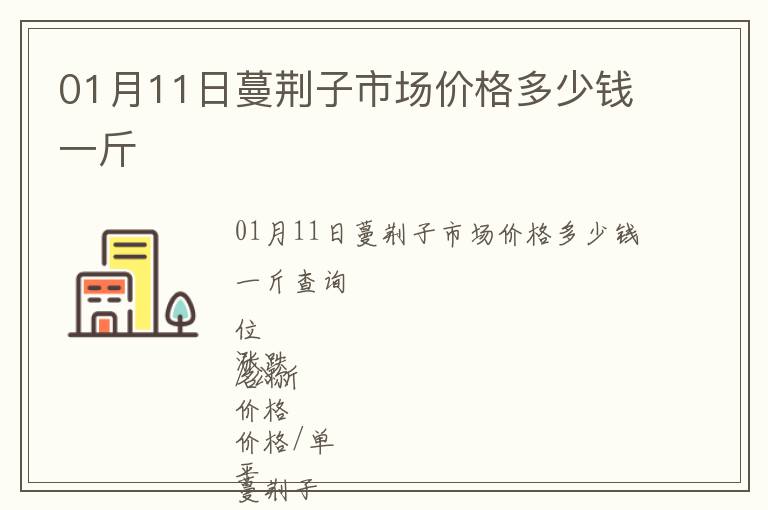 01月11日蔓荊子市場價格多少錢一斤