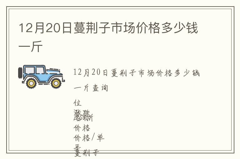 12月20日蔓荊子市場價格多少錢一斤