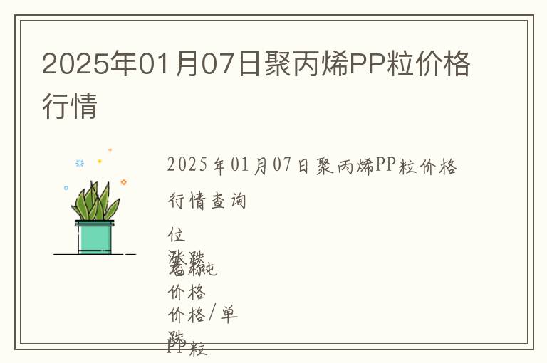 2025年01月07日聚丙烯PP粒價格行情