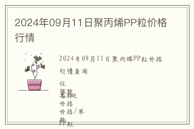 2024年09月11日聚丙烯PP粒價格行情