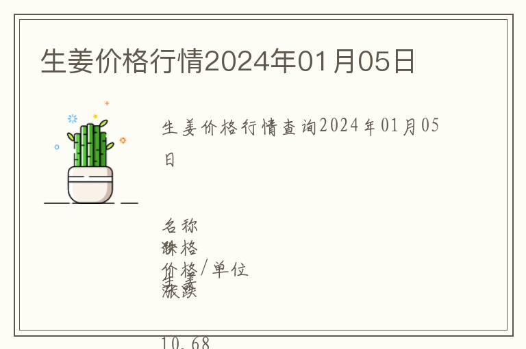 生姜價格行情2024年01月05日