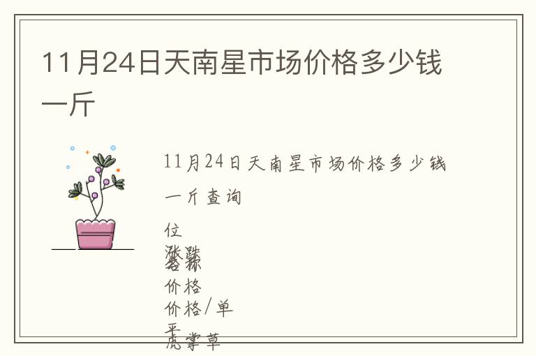11月24日天南星市場(chǎng)價(jià)格多少錢(qián)一斤