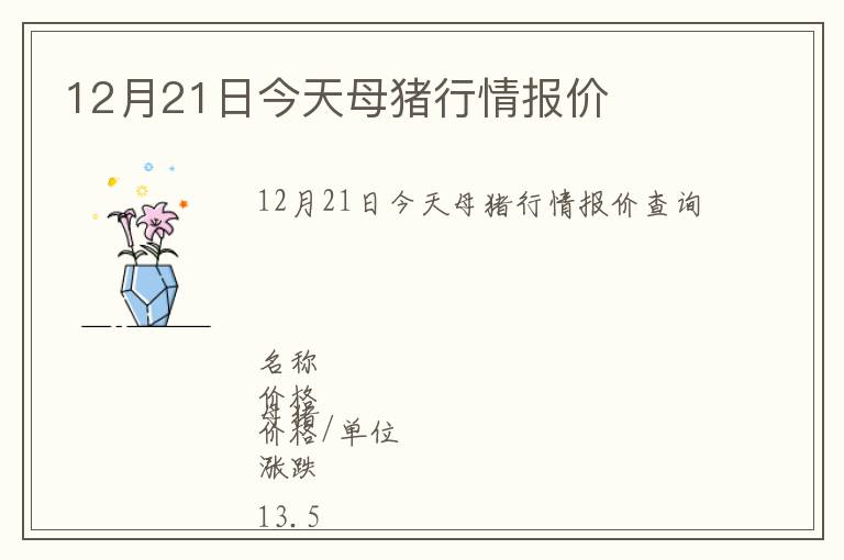 12月21日今天母豬行情報價