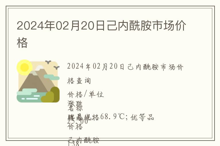 2024年02月20日己內(nèi)酰胺市場(chǎng)價(jià)格