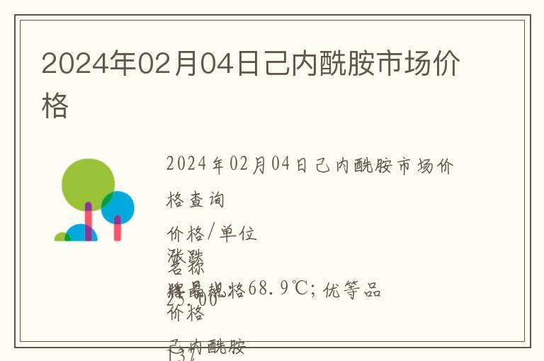 2024年02月04日己內(nèi)酰胺市場價格